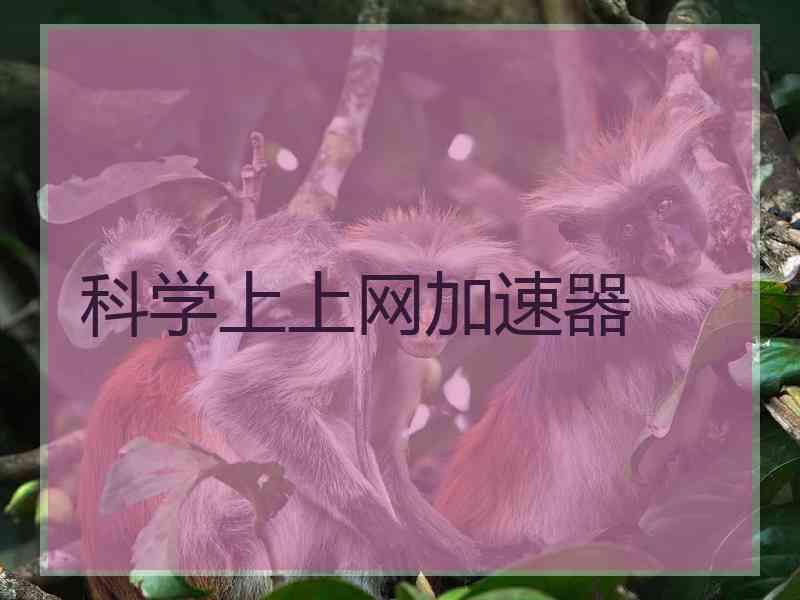 科学上上网加速器