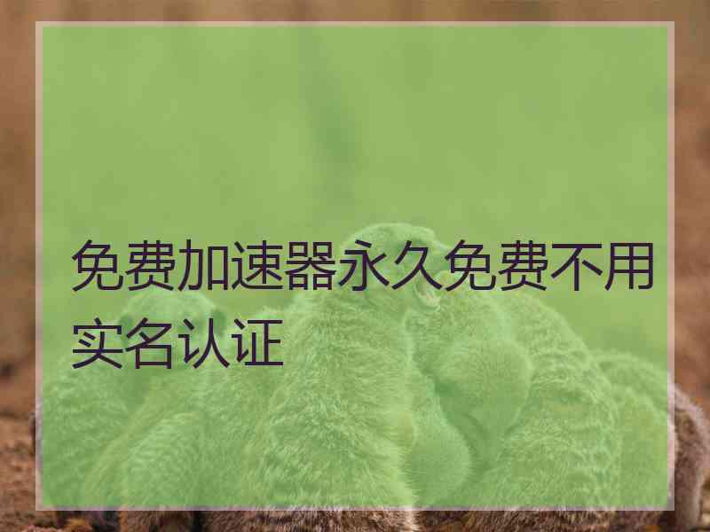 免费加速器永久免费不用实名认证