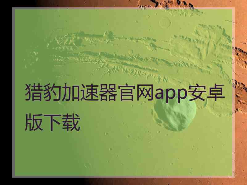 猎豹加速器官网app安卓版下载
