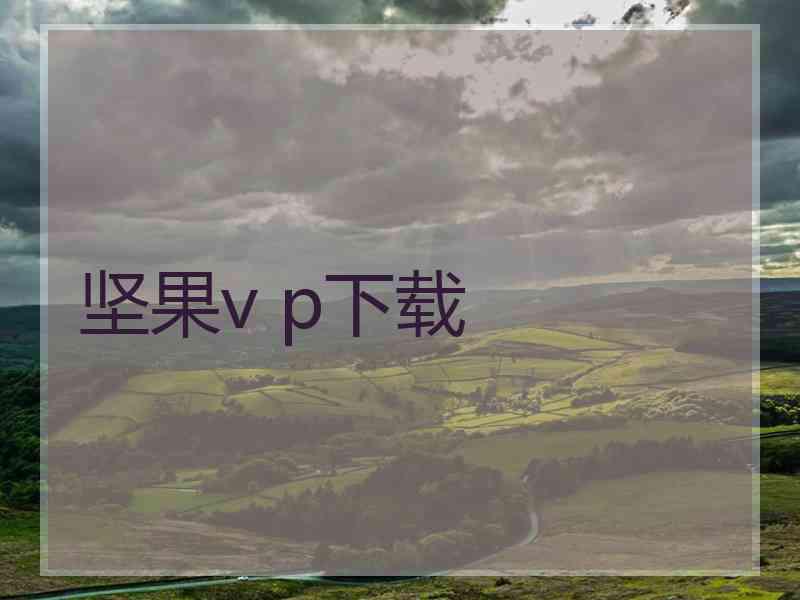 坚果v p下载