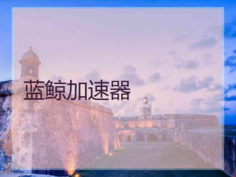 蓝鲸加速器