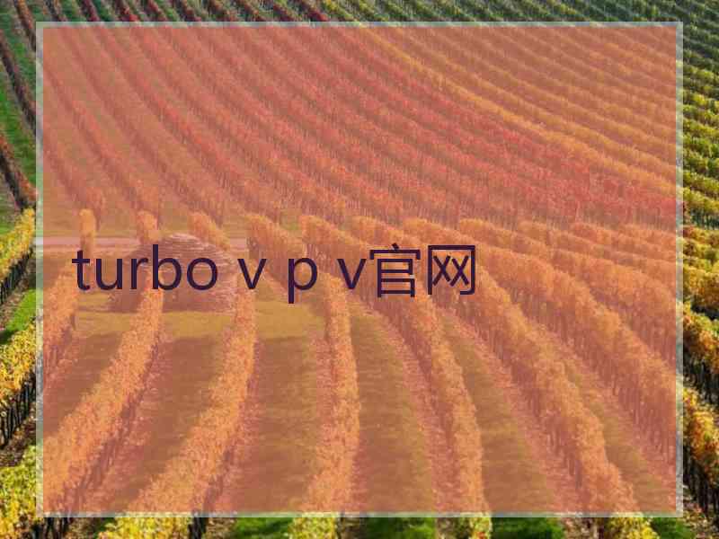 turbo v p v官网
