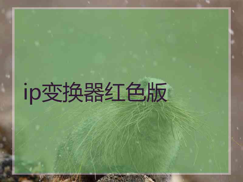 ip变换器红色版