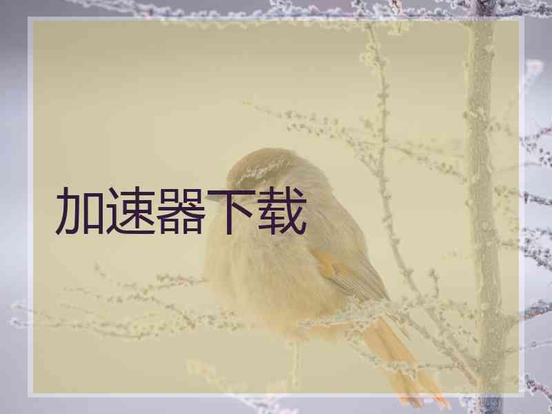 加速器下载