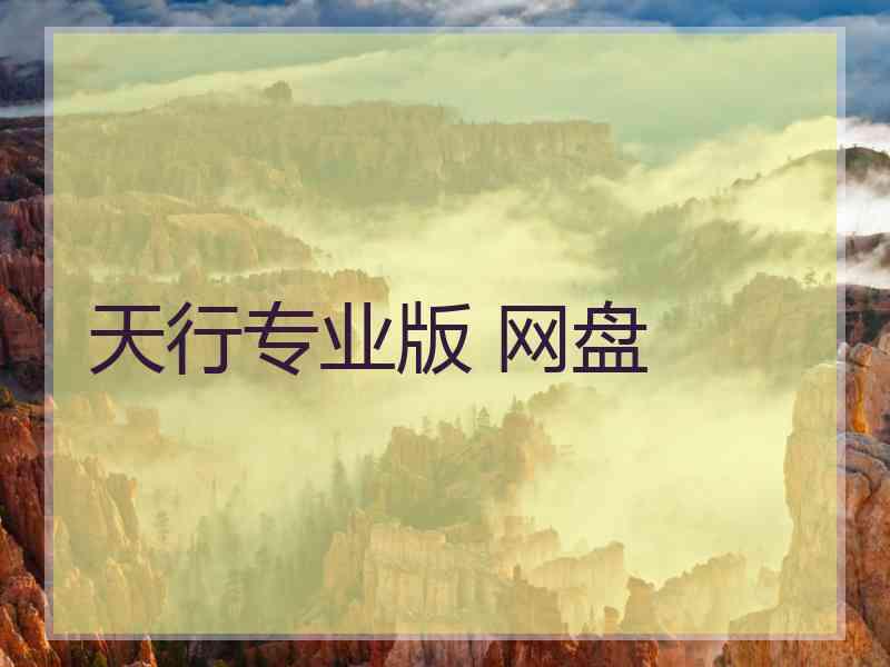 天行专业版 网盘