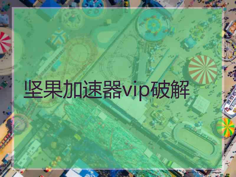 坚果加速器vip破解