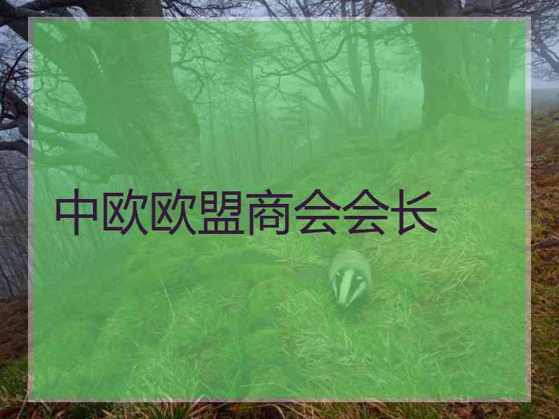 中欧欧盟商会会长