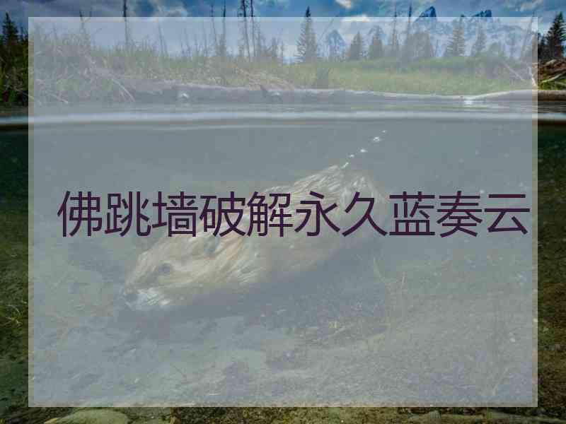 佛跳墙破解永久蓝奏云