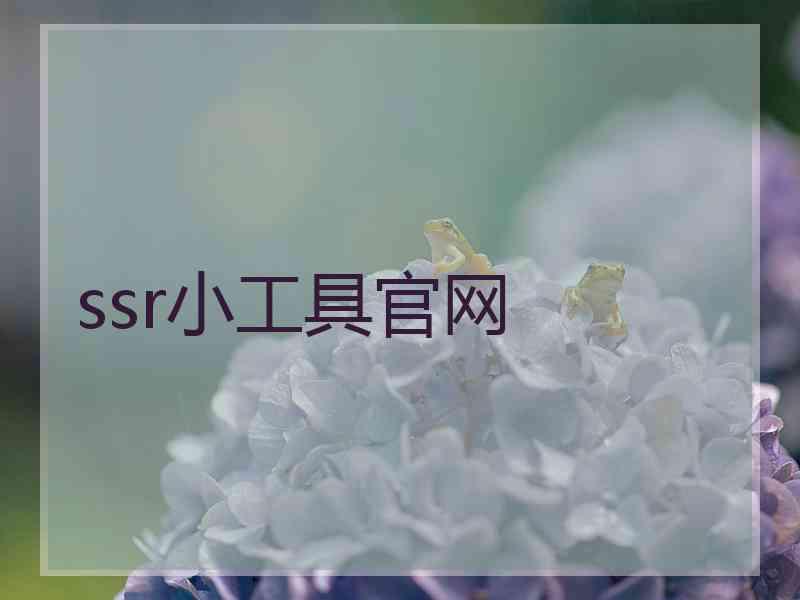 ssr小工具官网