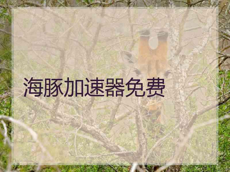 海豚加速器免费