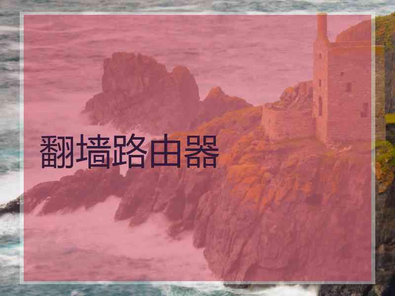 翻墙路由器