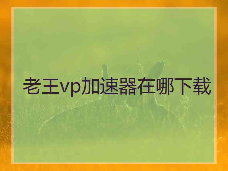 老王vp加速器在哪下载