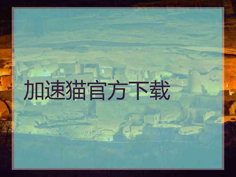 加速猫官方下载