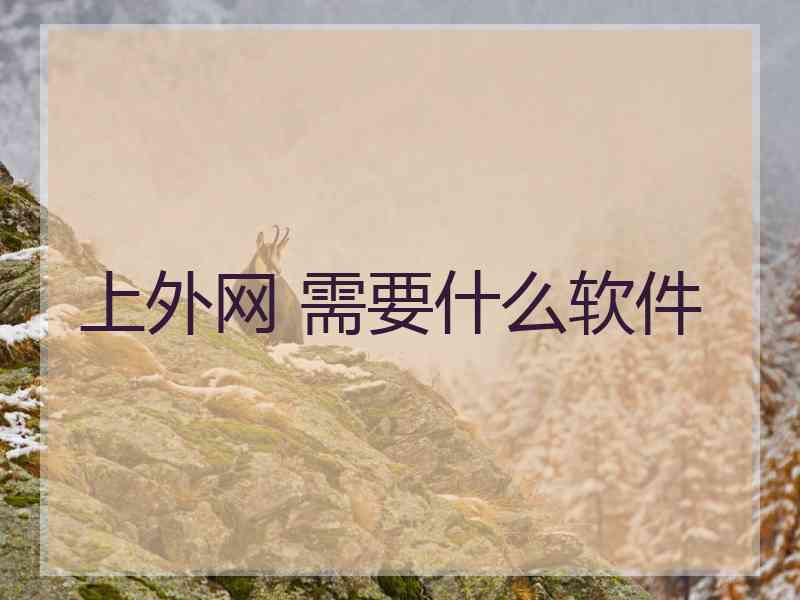 上外网 需要什么软件