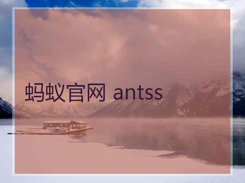 蚂蚁官网 antss