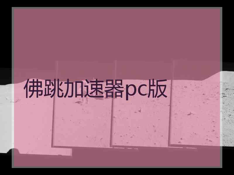 佛跳加速器pc版