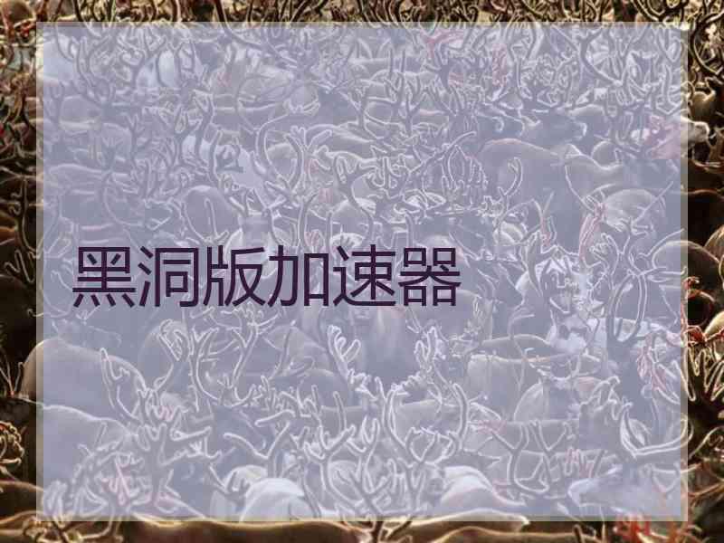 黑洞版加速器