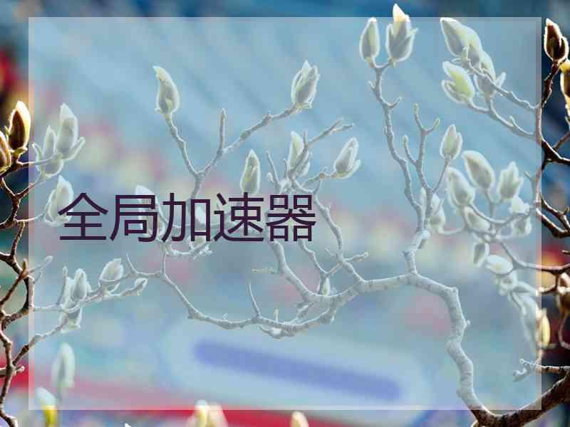 全局加速器