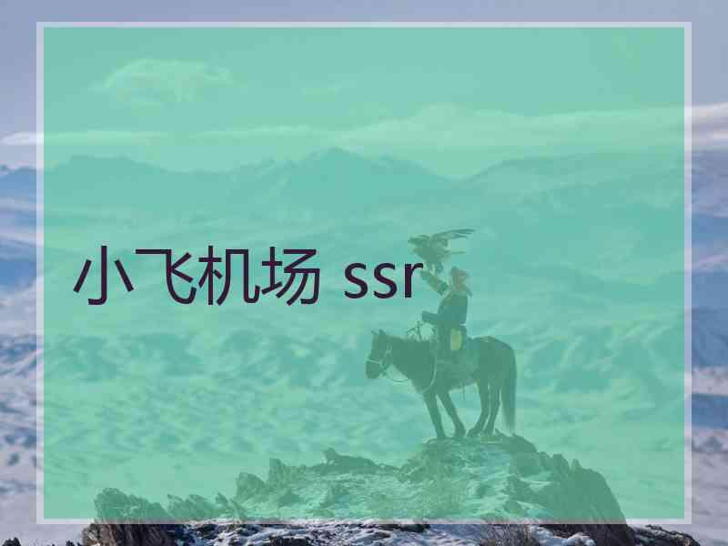 小飞机场 ssr