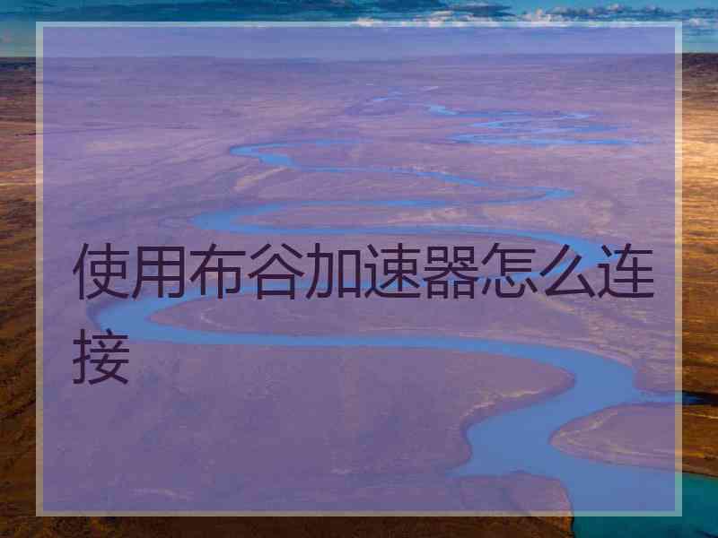 使用布谷加速器怎么连接