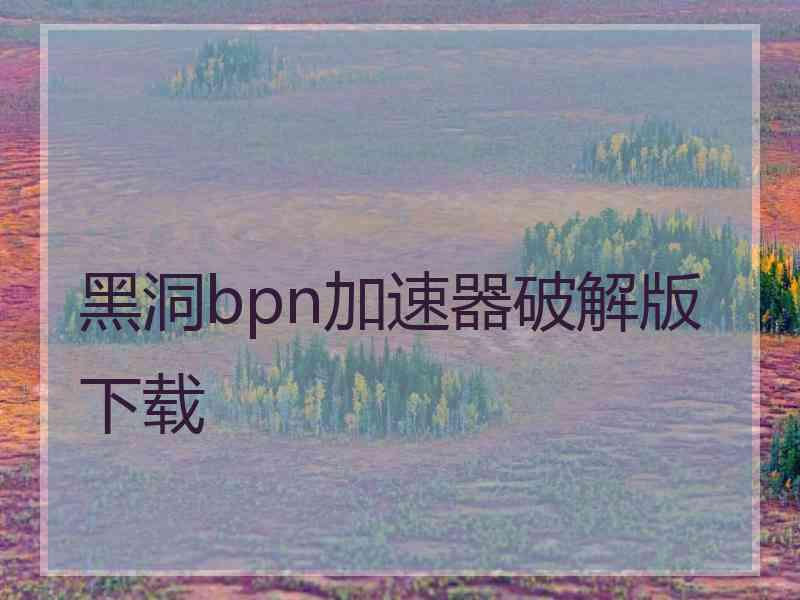 黑洞bpn加速器破解版下载