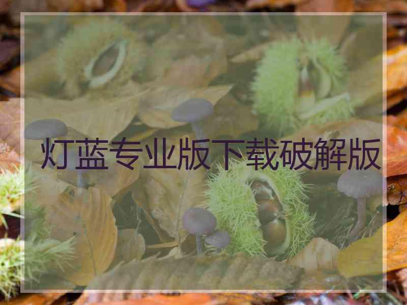 灯蓝专业版下载破解版