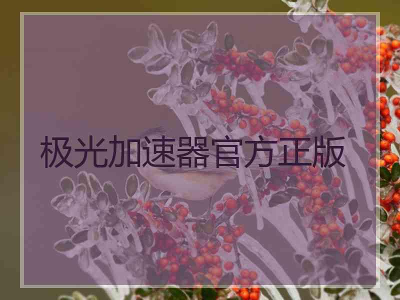 极光加速器官方正版