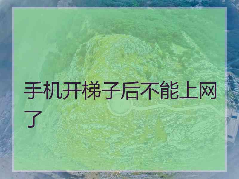 手机开梯子后不能上网了