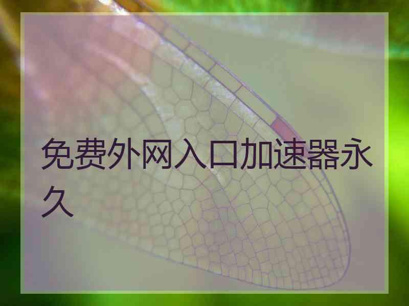 免费外网入口加速器永久