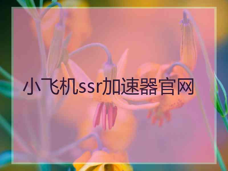小飞机ssr加速器官网