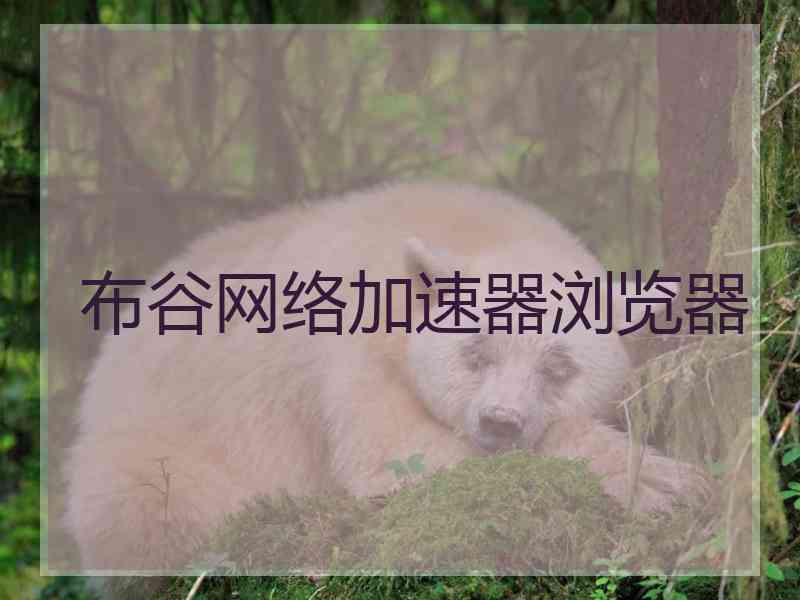 布谷网络加速器浏览器