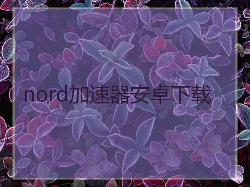 nord加速器安卓下载