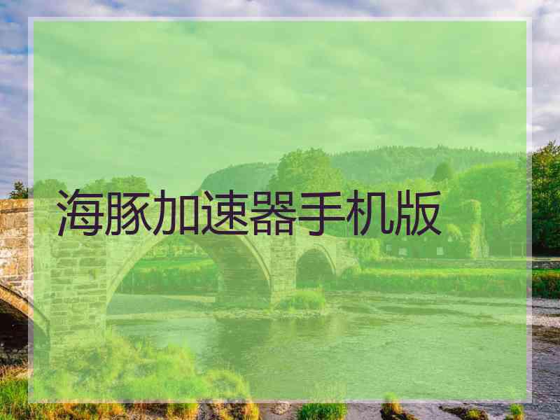 海豚加速器手机版