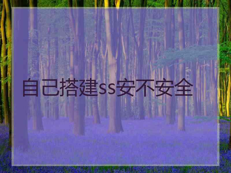 自己搭建ss安不安全
