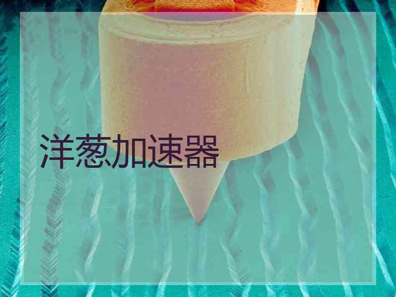 洋葱加速器