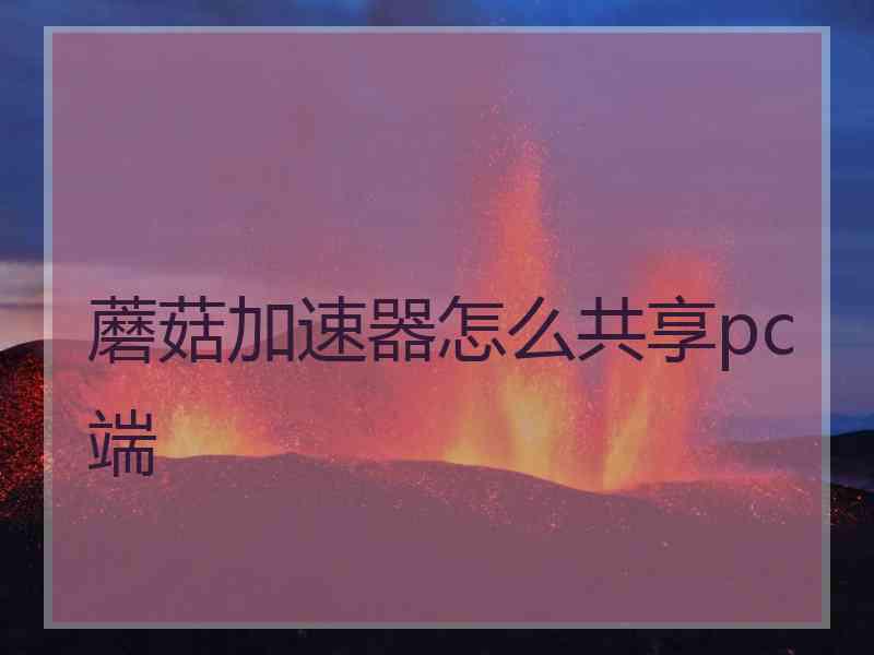 蘑菇加速器怎么共享pc端
