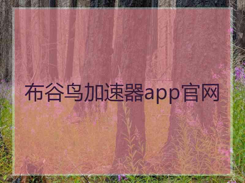 布谷鸟加速器app官网