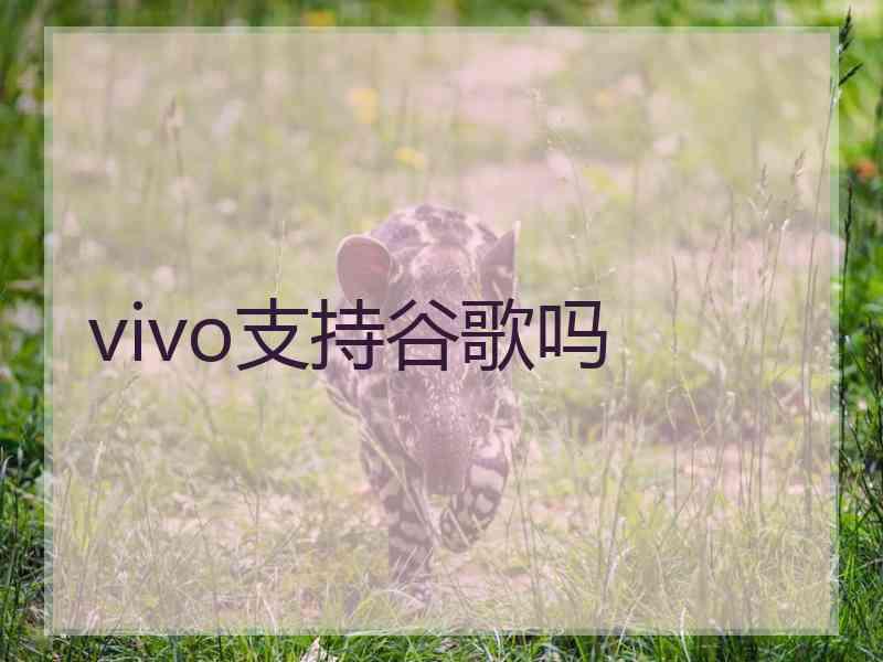vivo支持谷歌吗