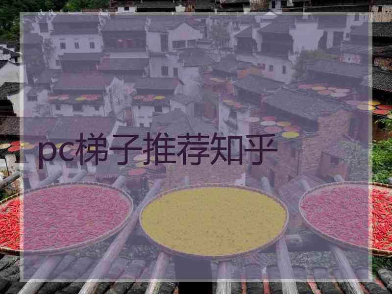 pc梯子推荐知乎