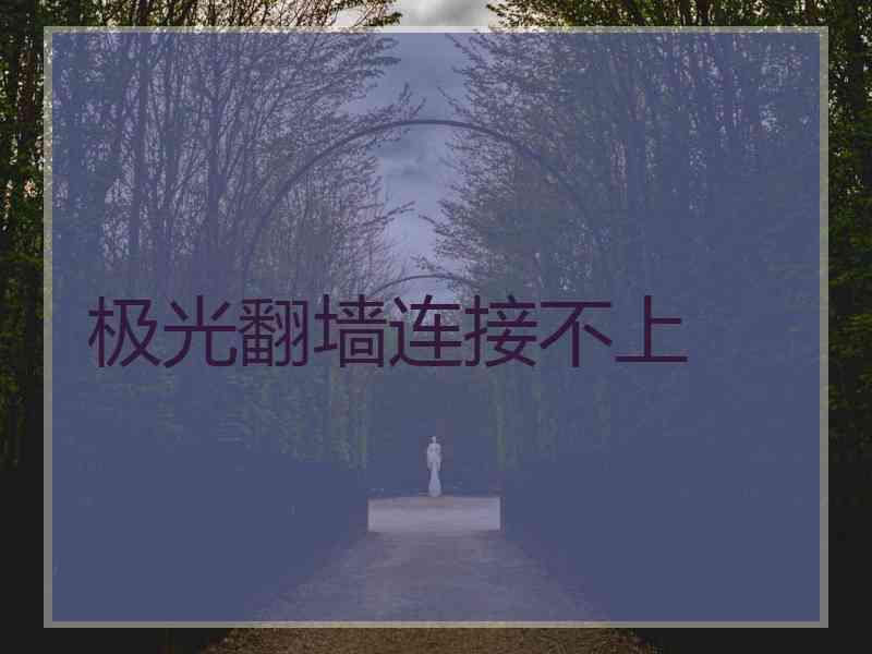 极光翻墙连接不上