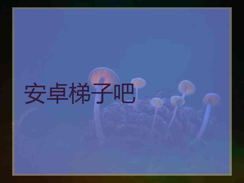 安卓梯子吧