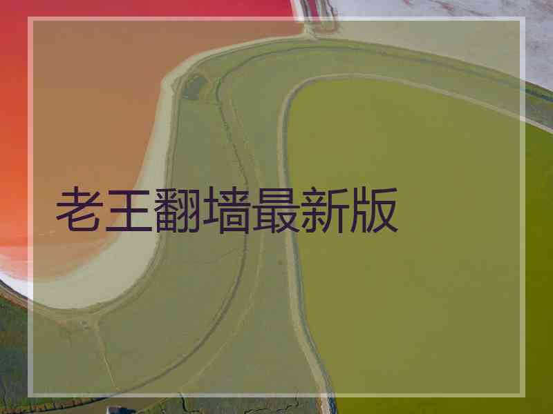 老王翻墙最新版