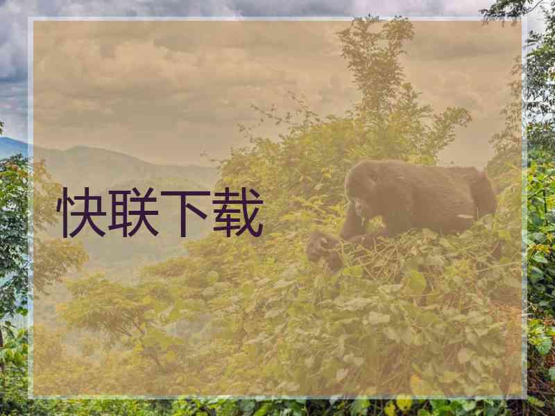 快联下载