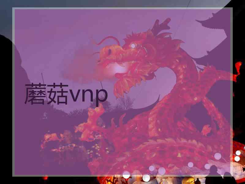 蘑菇vnp