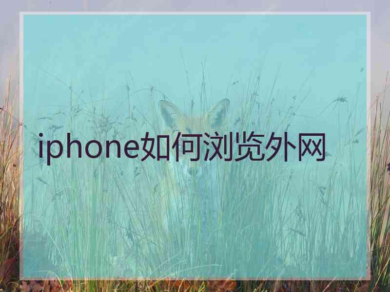iphone如何浏览外网
