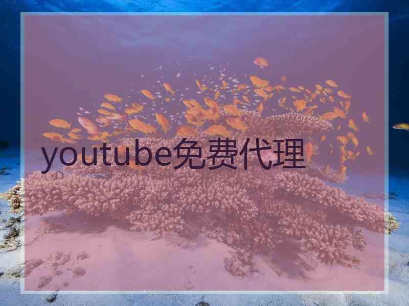 youtube免费代理