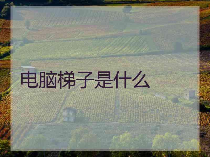 电脑梯子是什么