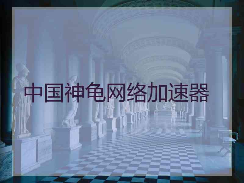 中国神龟网络加速器