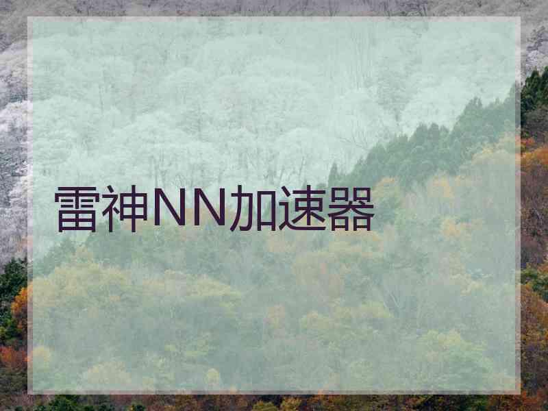 雷神NN加速器