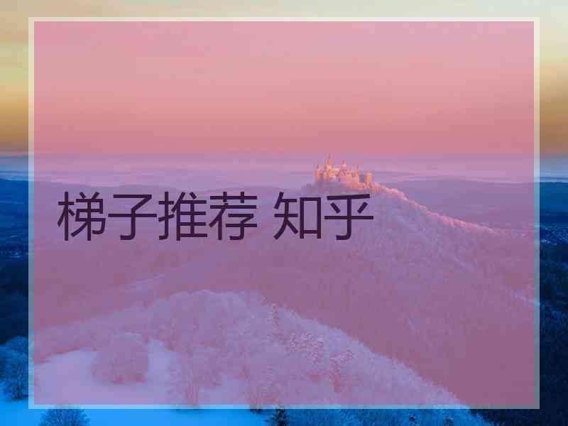 梯子推荐 知乎